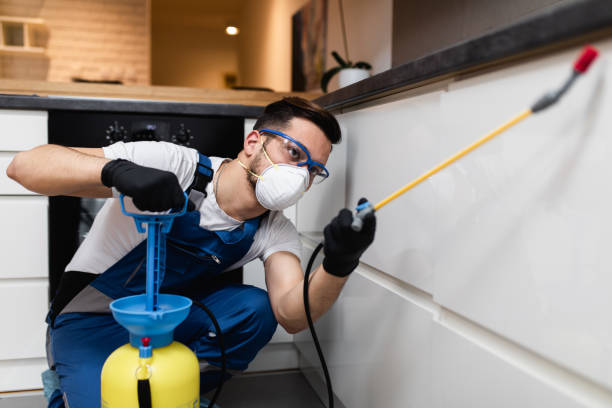 Best Affordable Pest Control Services  in Lake Arrowhead, ME