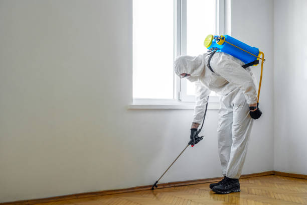 Lake Arrowhead, ME Pest Control Company