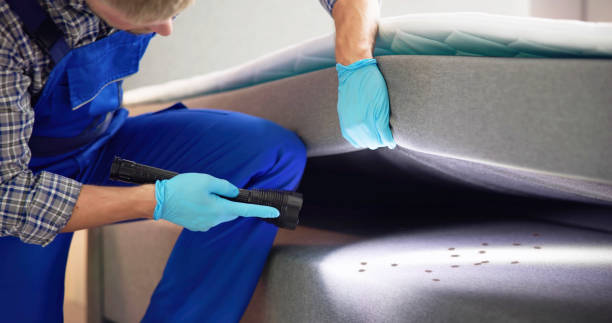 Best Termite Control Services  in Lake Arrowhead, ME