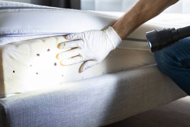 Best Pest Inspection Near Me  in Lake Arrowhead, ME