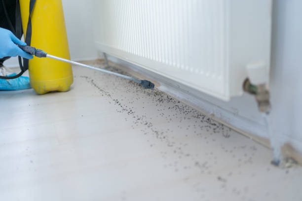 Best Exterminator Services  in Lake Arrowhead, ME